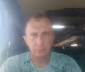 Александр, 40 лет, Віцебск