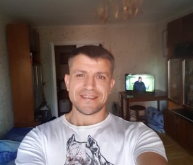 Виктор Яковлев, 43 года, Петрозаводск
