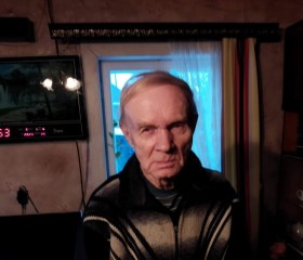 Святослав, 71 год, Мичуринск