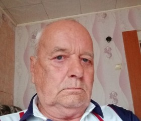 михаил, 73 года, Рузаевка