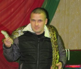 Евгений Дмитриев, 34 года, Бавлы