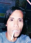 Kevin Smr, 27 лет, Kota Pekanbaru