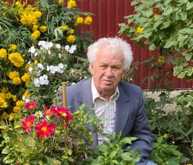 АЛЕКСАНДР, 73 года, Каменск-Шахтинский
