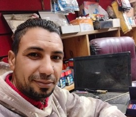 النمر, 35, Alexandria