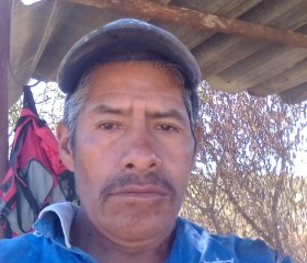 Mario Jimenez, 53 года, México Distrito Federal