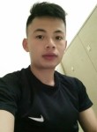 Vuongw, 31 год, Lào Cai