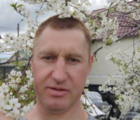 Роман, 49 лет, Липецк