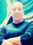 Mostafa, 34 года, شبين الكوم