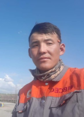 maagi, 24, Монгол улс, Арвайхээр