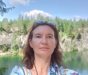 Svetlana, 46, Saint Petersburg