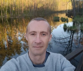 Сергей, 38 лет, Суми