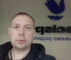 Михаил, 39 лет, Саранск