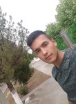 Rasul, 26 лет, Türkmenabat