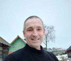 Дмитрий Жилин, 47 лет, Псков
