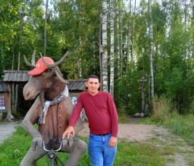 Владимир, 27 лет, Санкт-Петербург