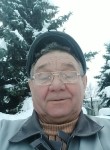 Сергей Шишов, 65 лет, Ульяновск