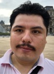 Fernando, 37 лет, México Distrito Federal