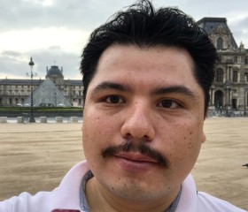 Fernando, 37 лет, México Distrito Federal