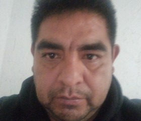 Juan Alanis, 47 лет, Toluca de Lerdo