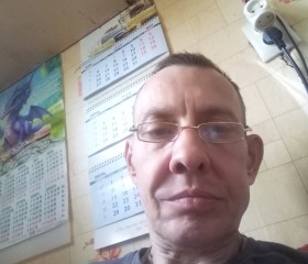 Николай, 56 лет, Волосово