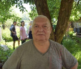 Михаил, 69 лет, Калининград