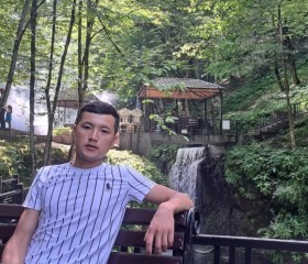 Tim, 31, Tashkent