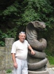 Геннадий, 71 год, Белгород