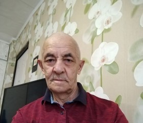 Николай, 70 лет, Кирово-Чепецк