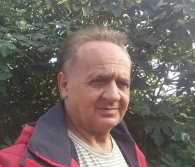 Francisko, 61 год, Бачка Топола