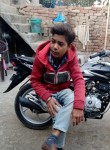Savak nayak, 19 лет, New Delhi