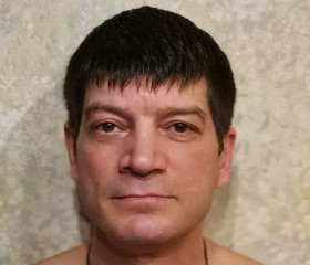 Денис, 46 лет, Кировск (Мурманская обл.)