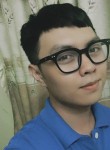 Sang, 27 лет, Thành Phố Hải Dương