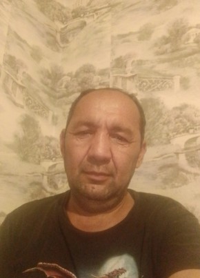 Тулкин, 51, Россия, Павловский Посад