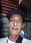 Ariel easiguen, 57 лет, Maynila