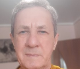 Виктор, 73 года, Заринск