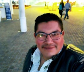 Vic, 36 лет, Santiago de Querétaro