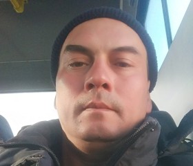 Ринат, 44 года, Челябинск