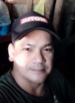 Junjun de castro, 47 лет, Meycauayan