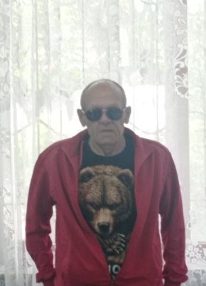 Михаил, 64, Россия, Ефремов