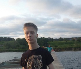 Кирилл, 21 год, Серпухов