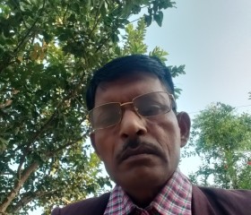 Harishanker, 54 года, Delhi
