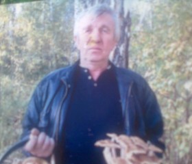 Владимир, 68 лет, Барнаул