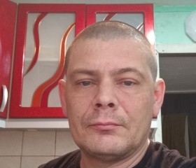 Алексей Белянин, 46 лет, Первомайськ (Луганська)