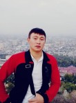 Тимур, 28 лет, Бишкек