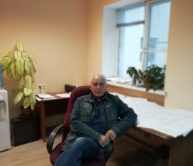 Стас, 67 лет, Воронеж