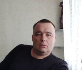Николай, 47 лет, Нижний Новгород