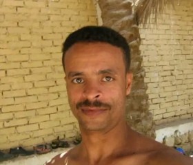 احمد حسن احمد, 51, Cairo