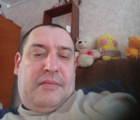 Андрей, 41 год, Владимир