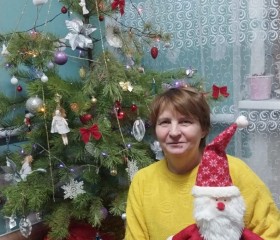 Елена, 55 лет, Новосибирск