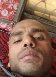 Lalan yadav, 41 год, New Delhi